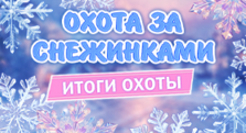 Итоги охоты за снежинками